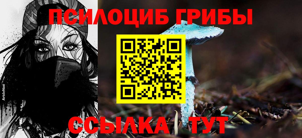 Галлюциногенные грибы Cubensis Щёлково
