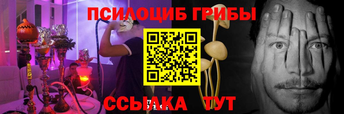 Галлюциногенные грибы мухоморы  закладка  Щёлково  Вход с VPN 